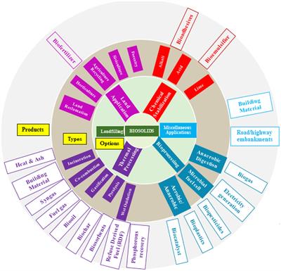 Integrated Biotechnology Management of Biosolids: Sustainable Ways to Produce Value—Added Products